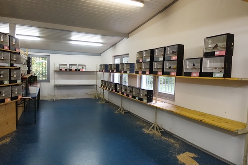 Ausstellung