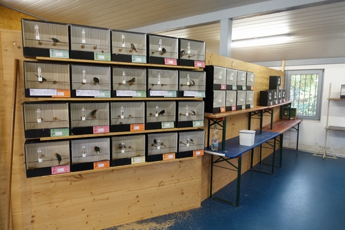 Ausstellung
